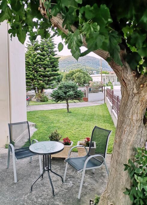 Apartment Great With A Yard