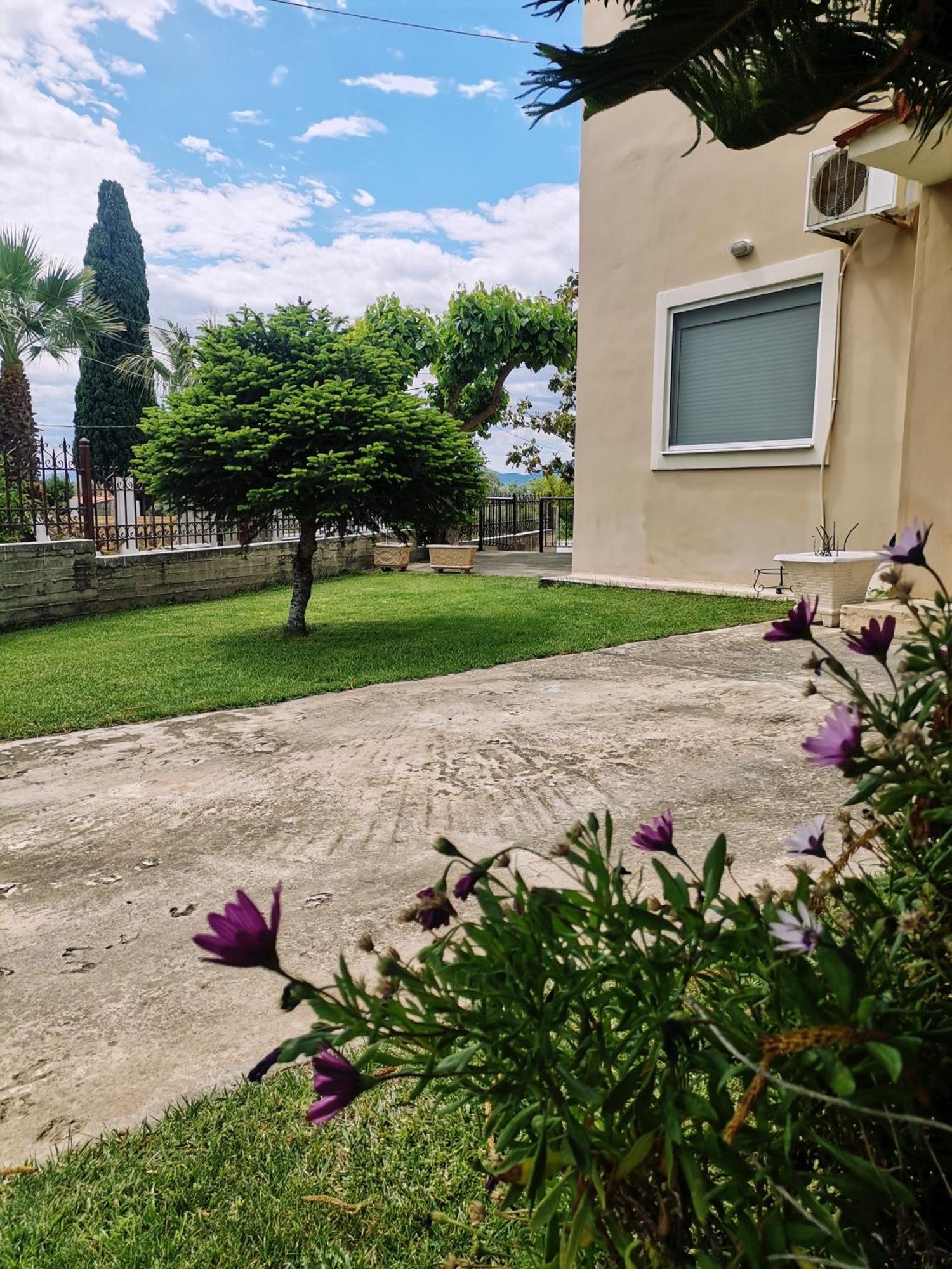 Apartment Great With A Yard